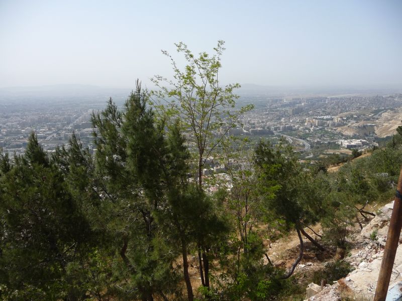 P1020800.JPG